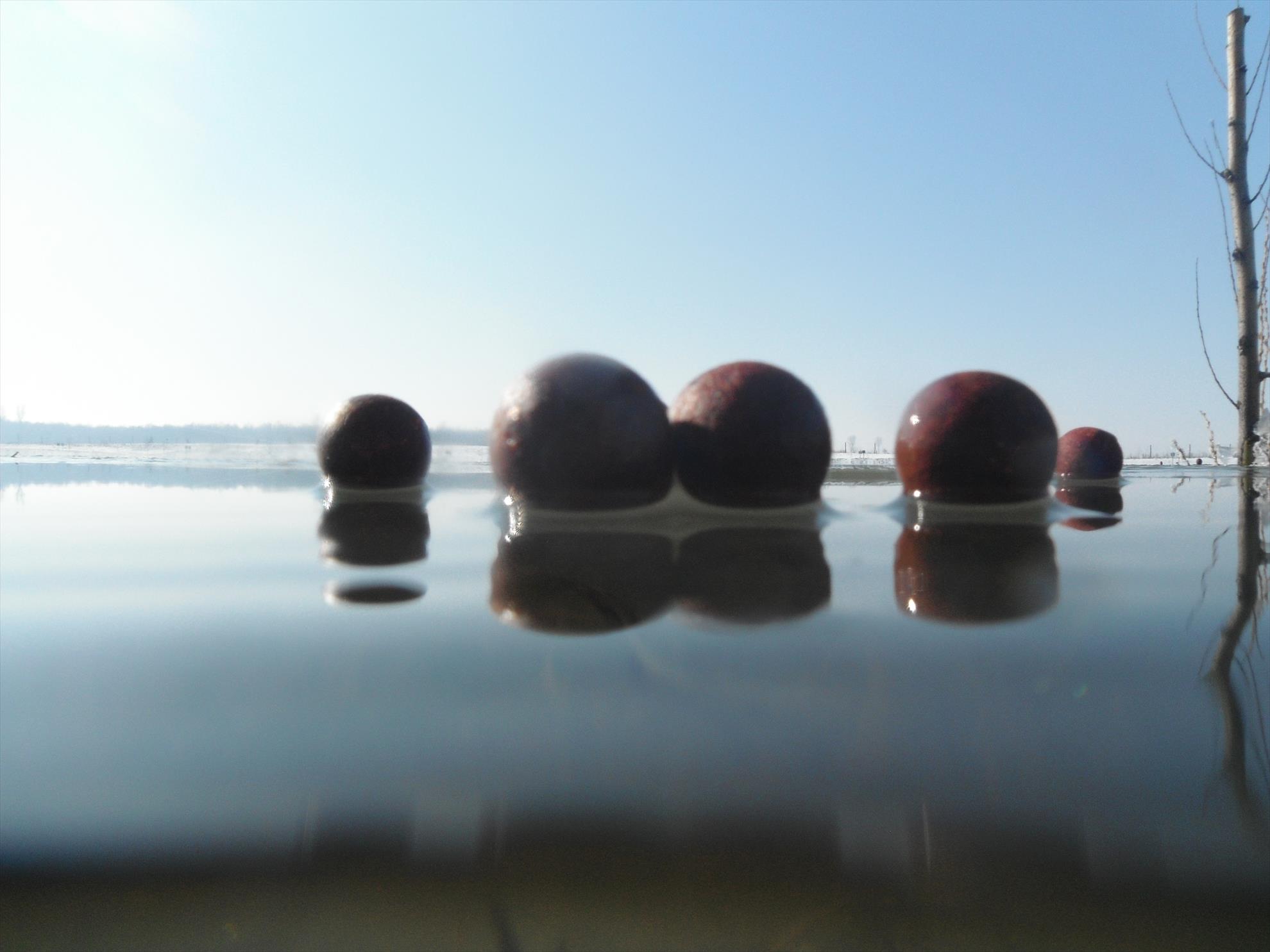 Martie 2013 - Moby Dick - Martie 2013
http://target-baits.ro/